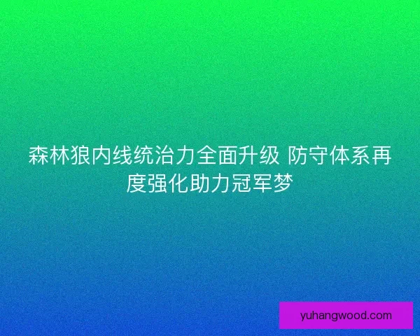 森林狼内线统治力全面升级 防守体系再度强化助力冠军梦